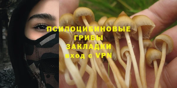 apvp Абдулино