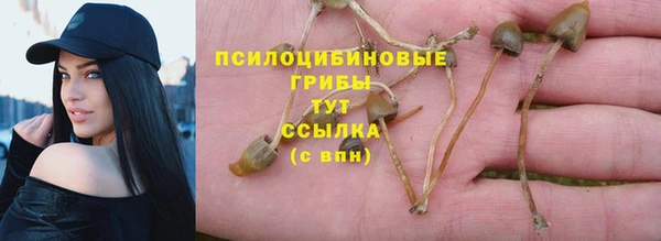 герыч Алексеевка