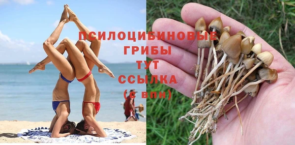 герыч Алексеевка