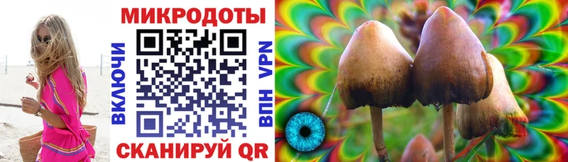 Псилоцибиновые грибы мухоморы  где купить наркотик  Фёдоровский 