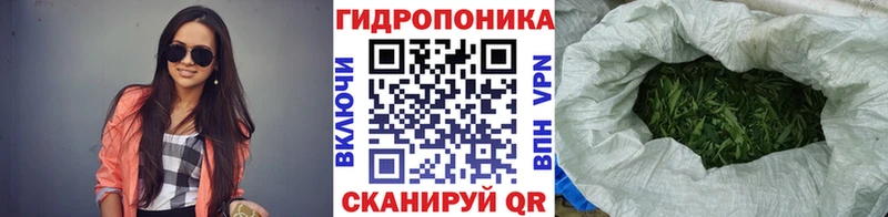 Бошки Шишки Bruce Banner  Фёдоровский 